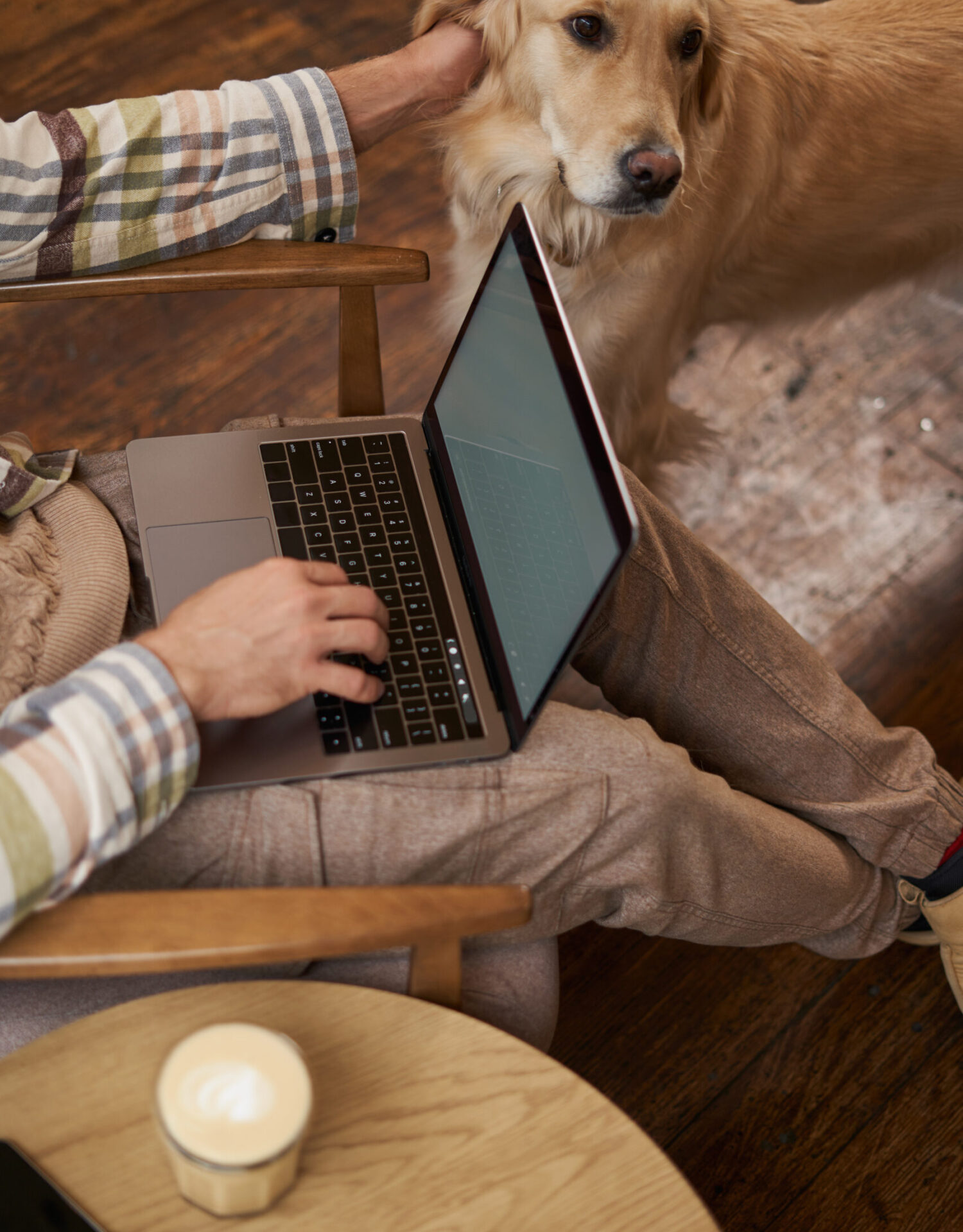 Vertical cropped picture of male hands typing on keyboard, using laptop and petting the dog, cafe visitor working and spending time with his puppy.