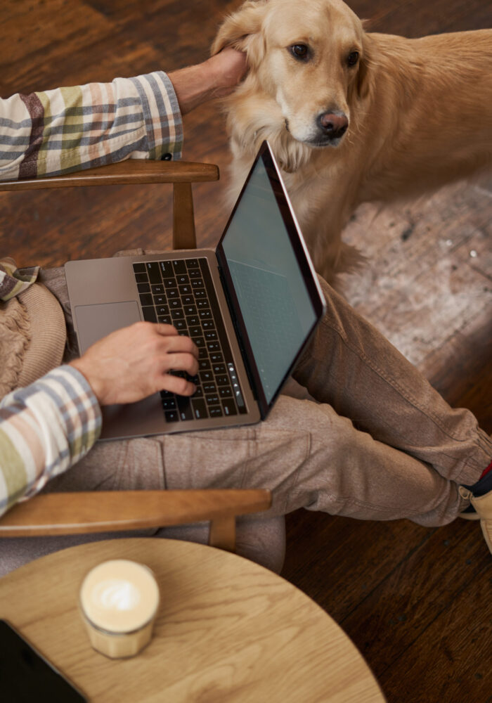 Vertical cropped picture of male hands typing on keyboard, using laptop and petting the dog, cafe visitor working and spending time with his puppy.